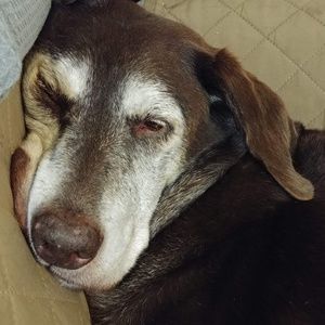 Meet your Posher, Wendy